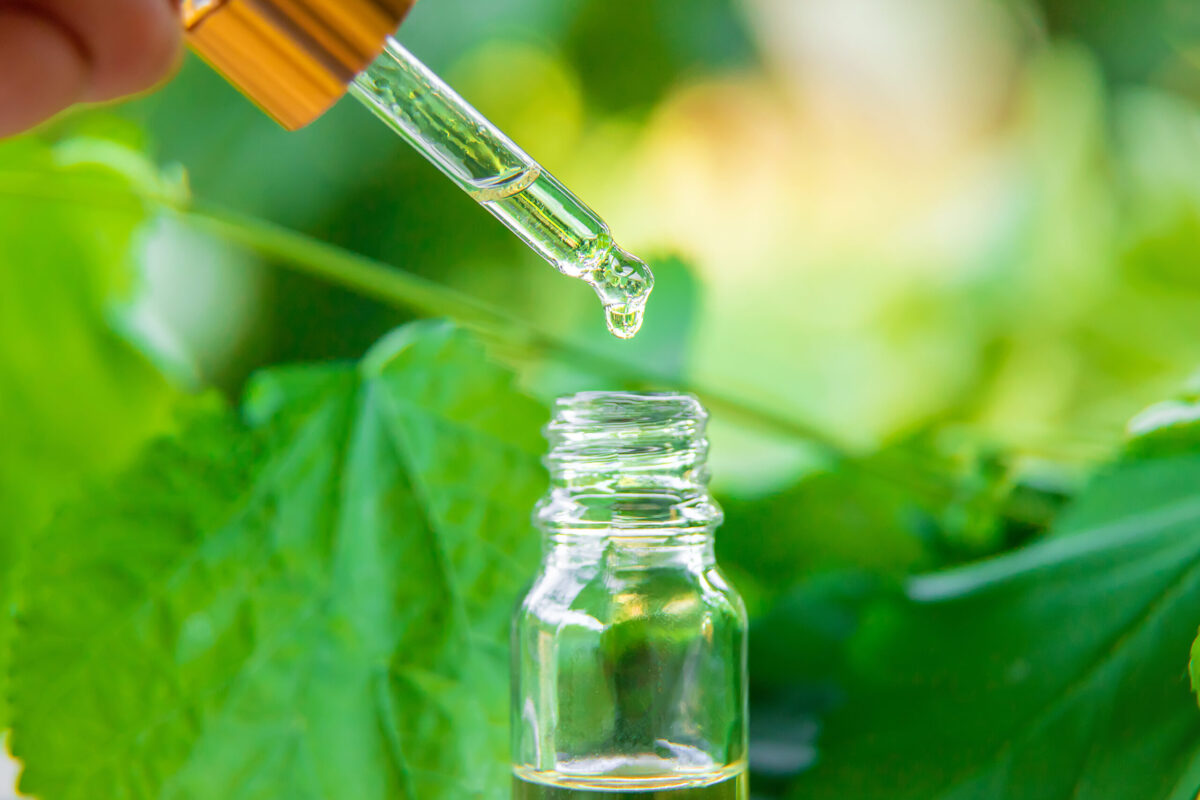 Essential oil extract of medicinal herbs in a small bottle. Selective focus.